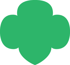 Girl Scouts blog {Use Resources Wisely}