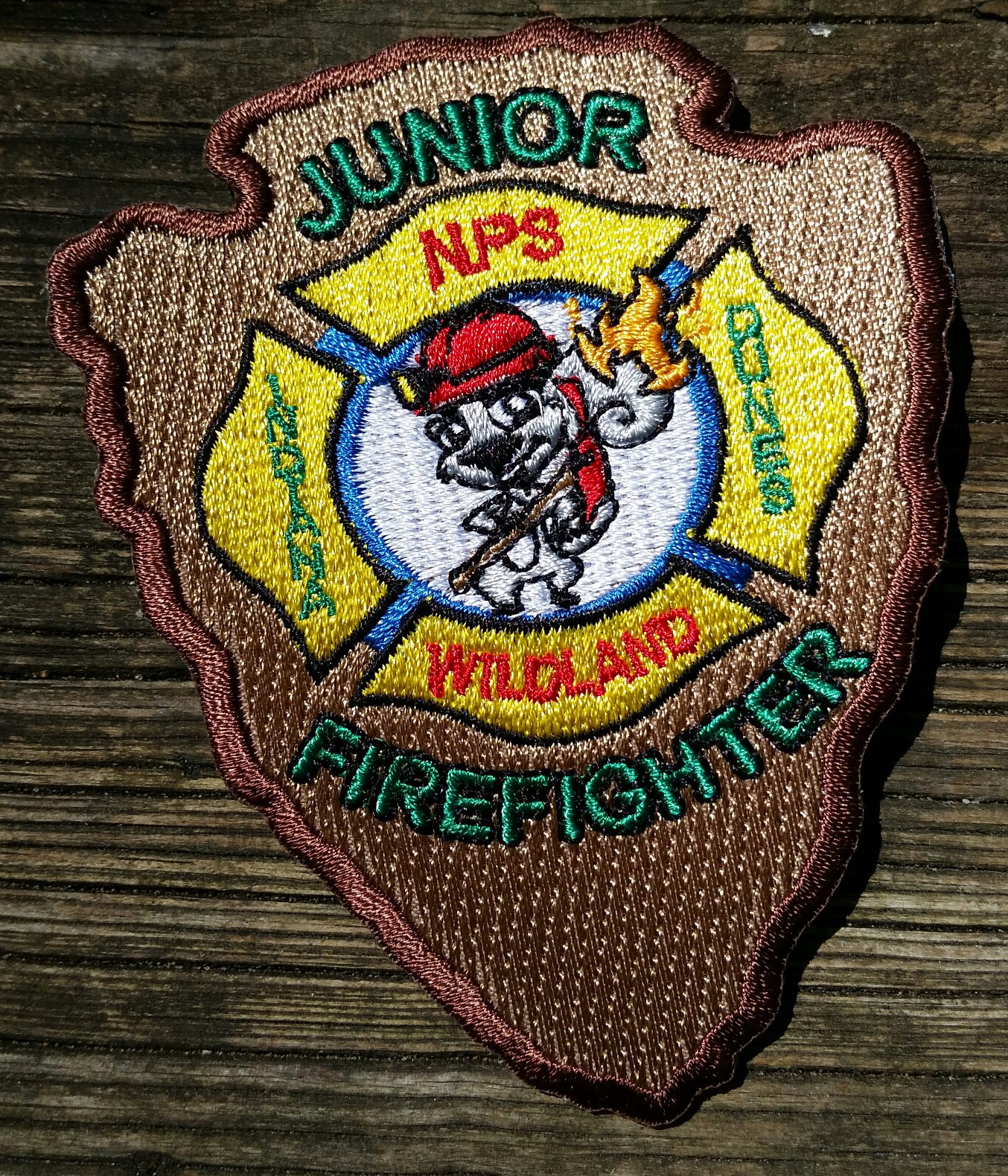 Junior Wildland Firefighter Ranger Program at the National Parks – Use ...