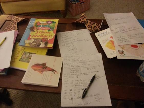 Tips for Girl Scout Troop Co-Leaders