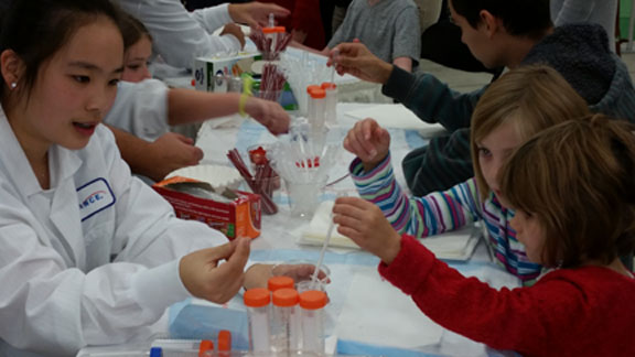 DNA experiment for kids: how to get DNA out of a strawberry | Celebrate Science Indiana