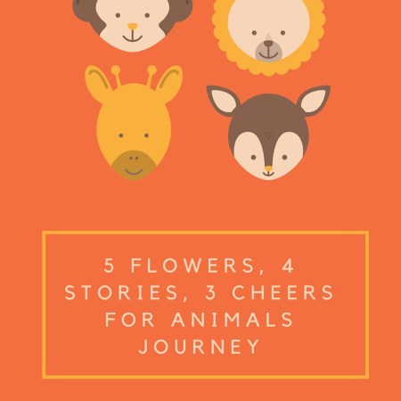 5 Flowers, 4 Stories, 3 Cheers for Animals Journey | Daisy Girl Scouts