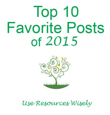 10 Favorite Posts of 2015 on Girl Scout Leader Blog "Use Resources Wisely"