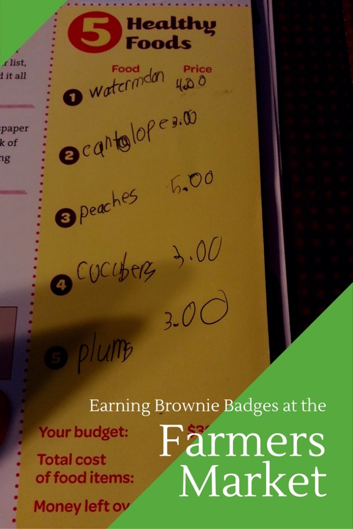 How to earn Brownie Girl Scout Badges at the farmers market. Easy and cheap field trip idea!