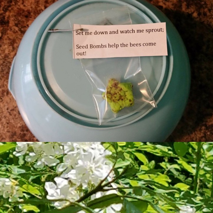 Seed Bomb Swaps for Girl Scouts