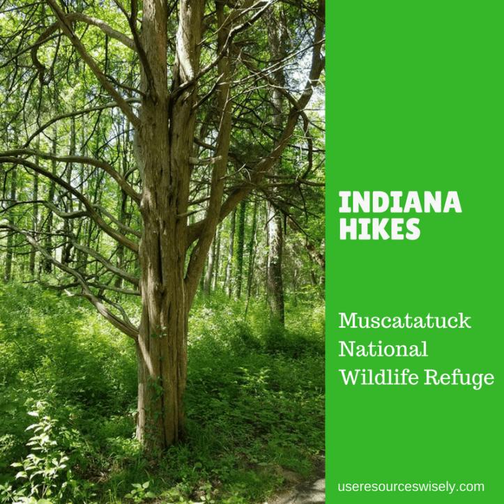 There are paved and natural hiking trails at Muscatatuck National Wildlife Refuge in south central Indiana.