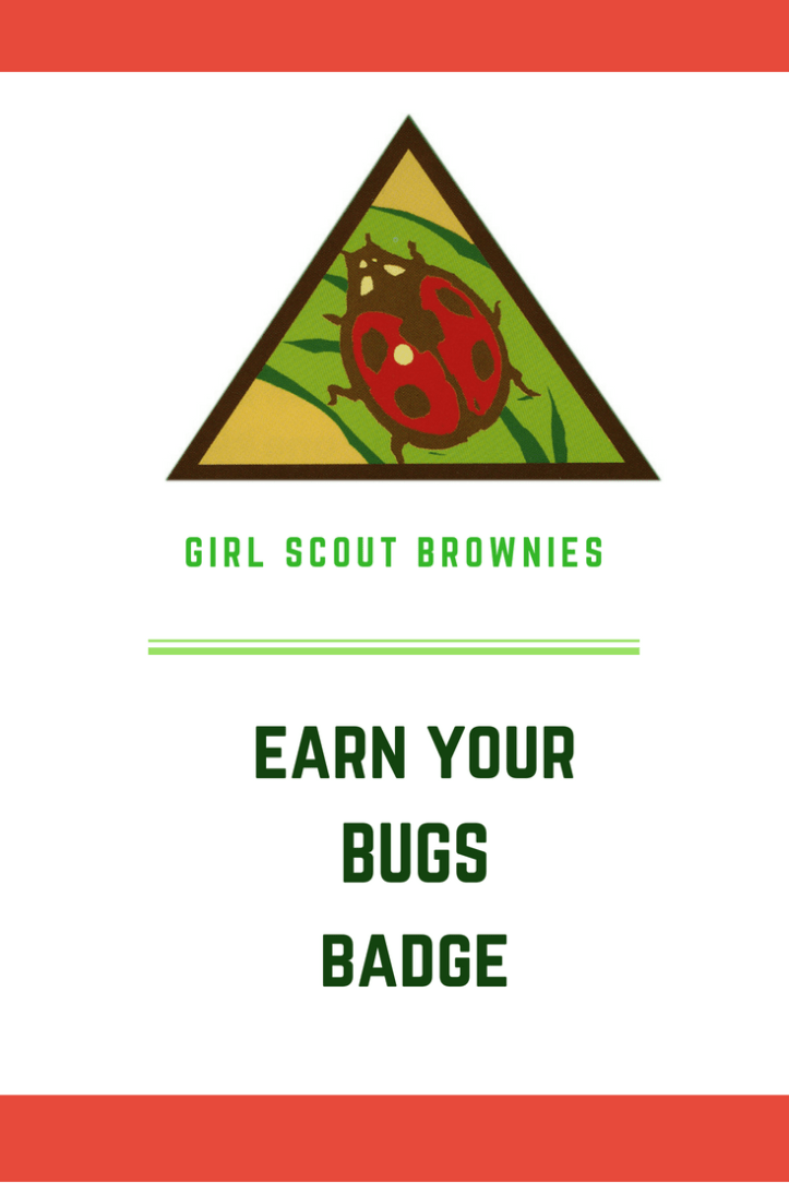 Ways to meet the requirements to earn the Brownie Bugs badge