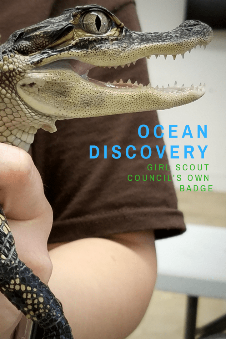 Ocean discovery council's own girl scout badge for cadettes, senior and ambassador girl scouts
